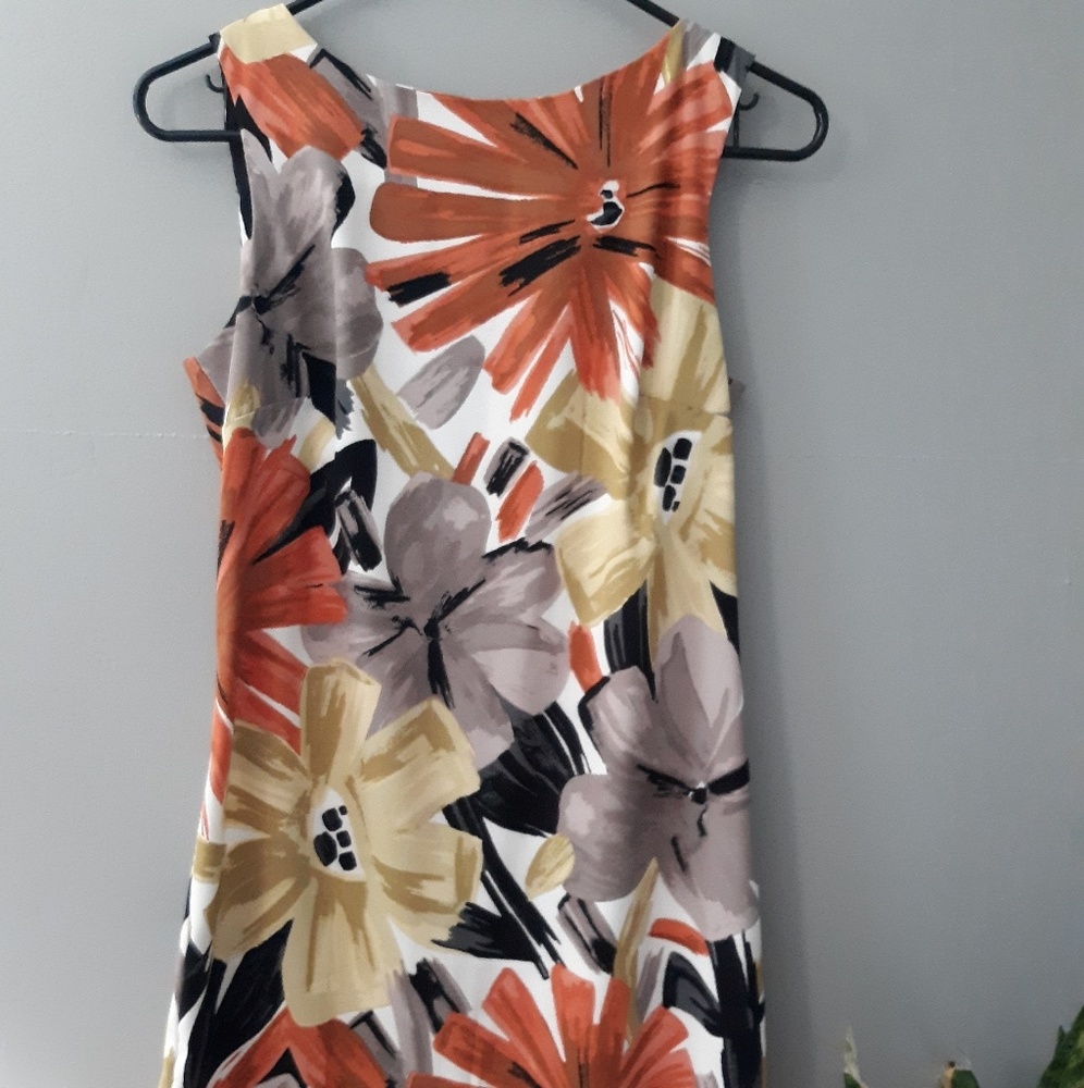 Dressbarn shift dress size 6